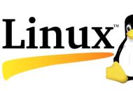linux查看环境变量